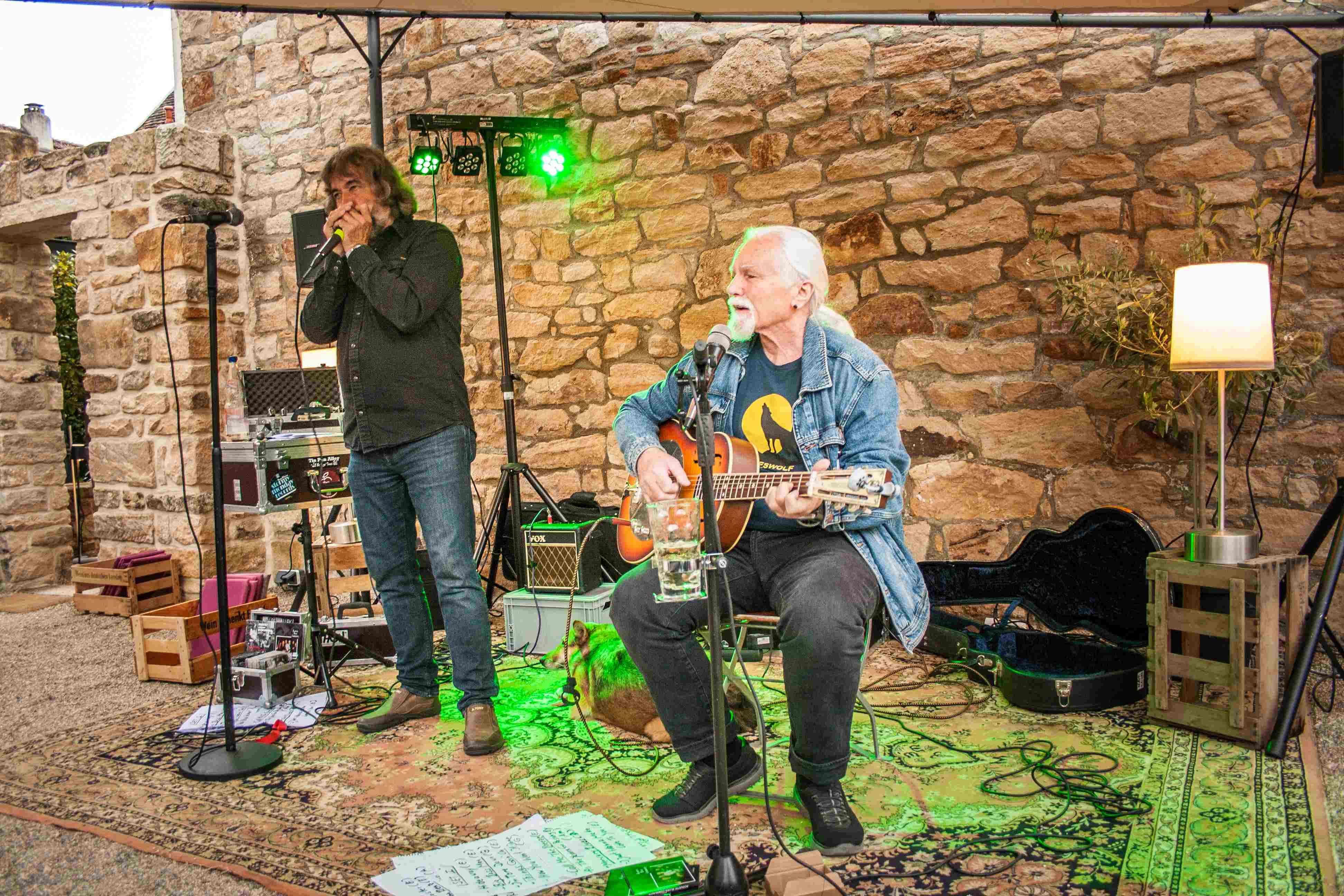 Blues Wolf Und Albert Koch 2025 1