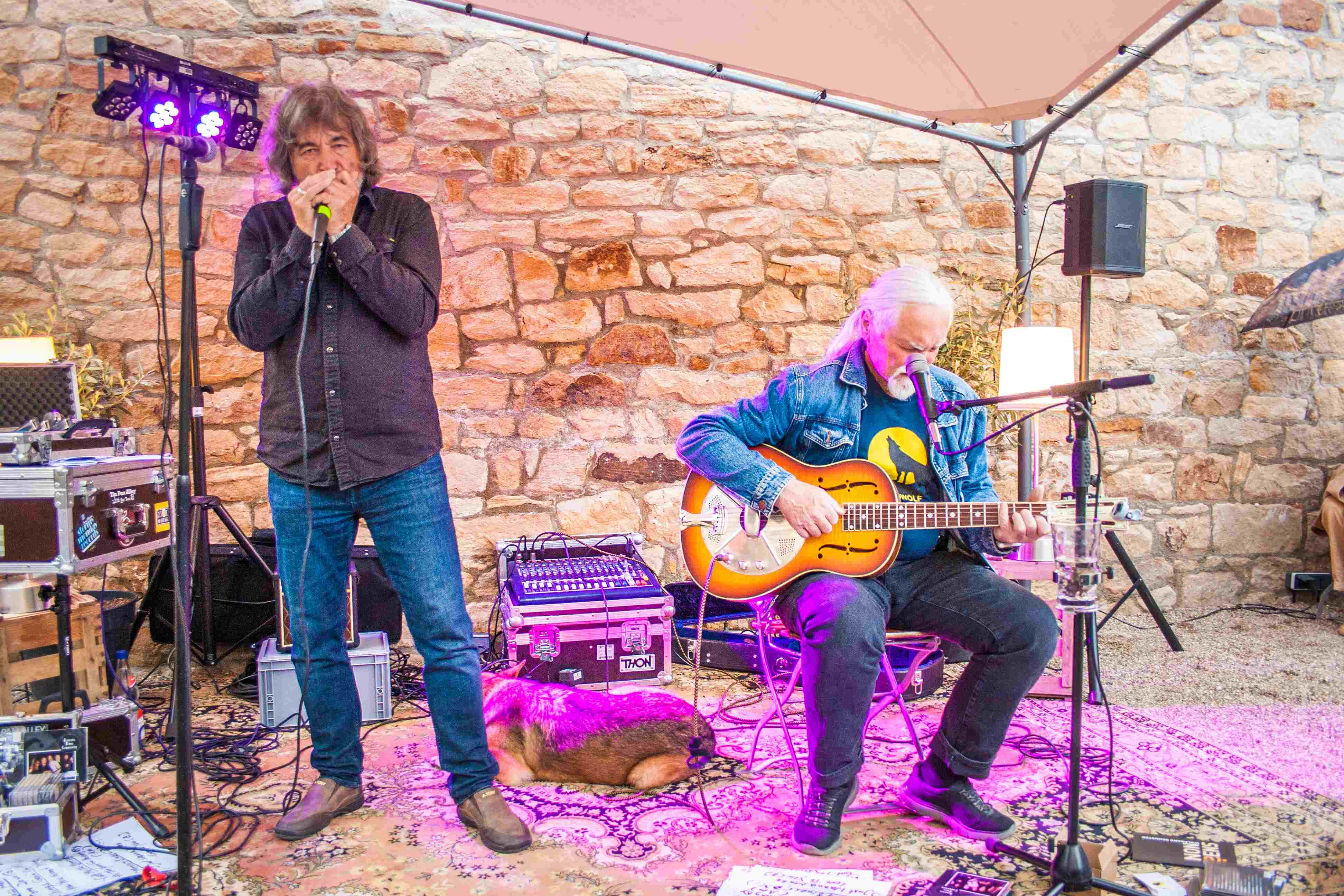 Blues Wolf Und Albert Koch 2025 3